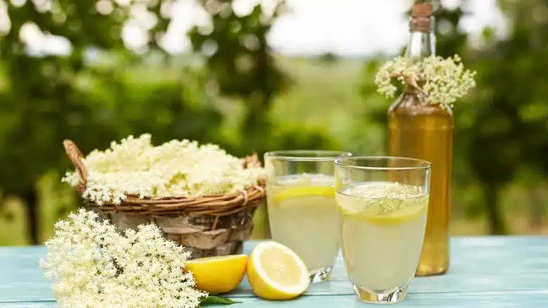 Sirop maison à base de fleurs de sureau