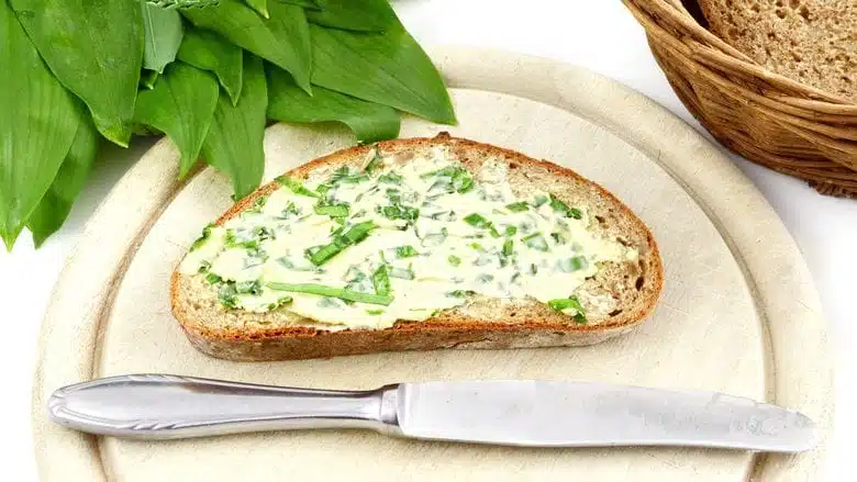 Tartinade au fromage de brebis ou de chèvre avec ail d'ours