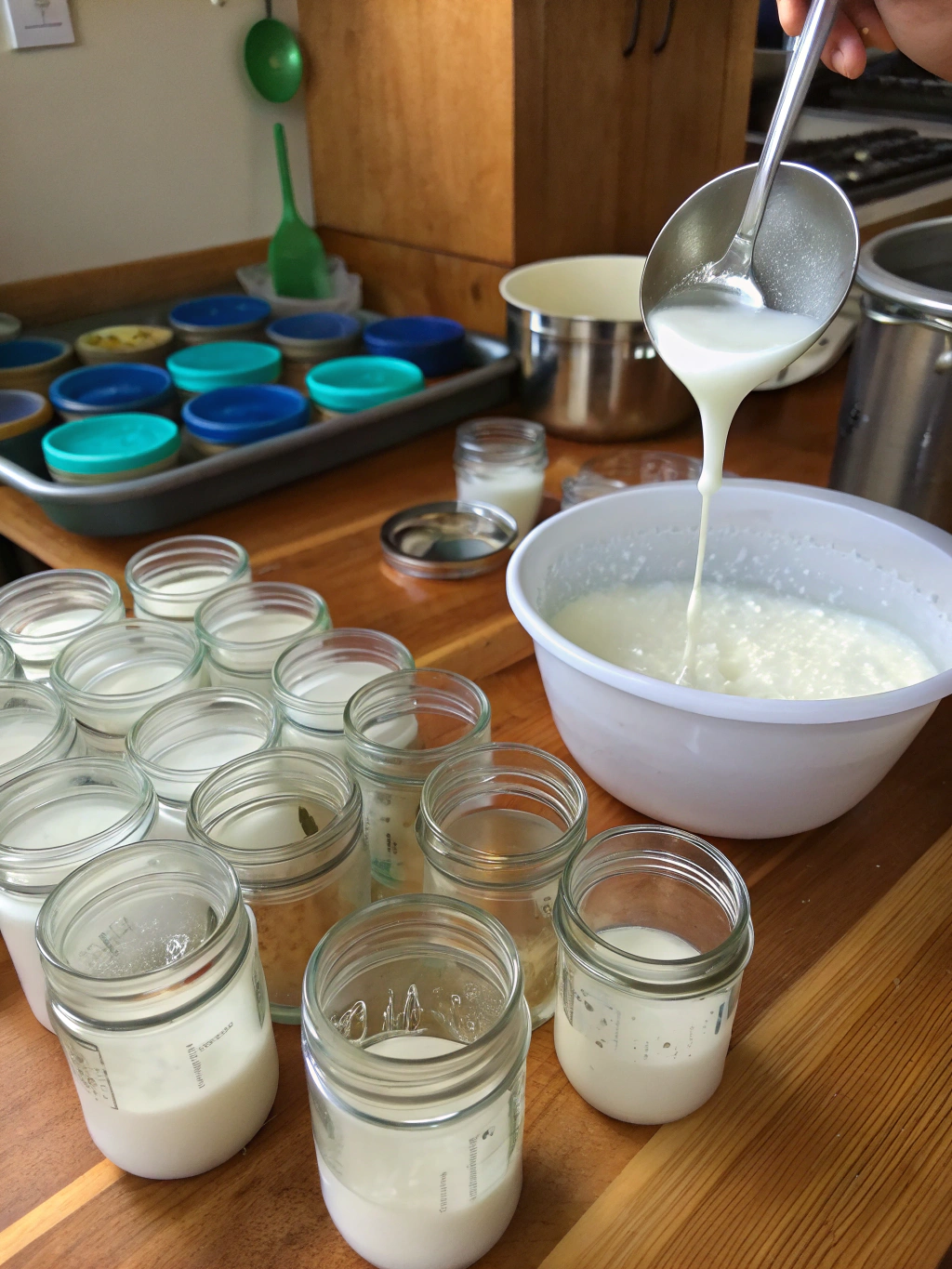 Technique pour fermenter un yaourt aux fruits adapté aux diabétiques